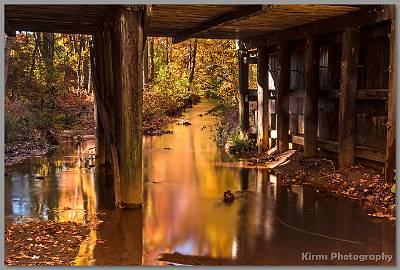 image by Kirms Photography Shark River Park Stream